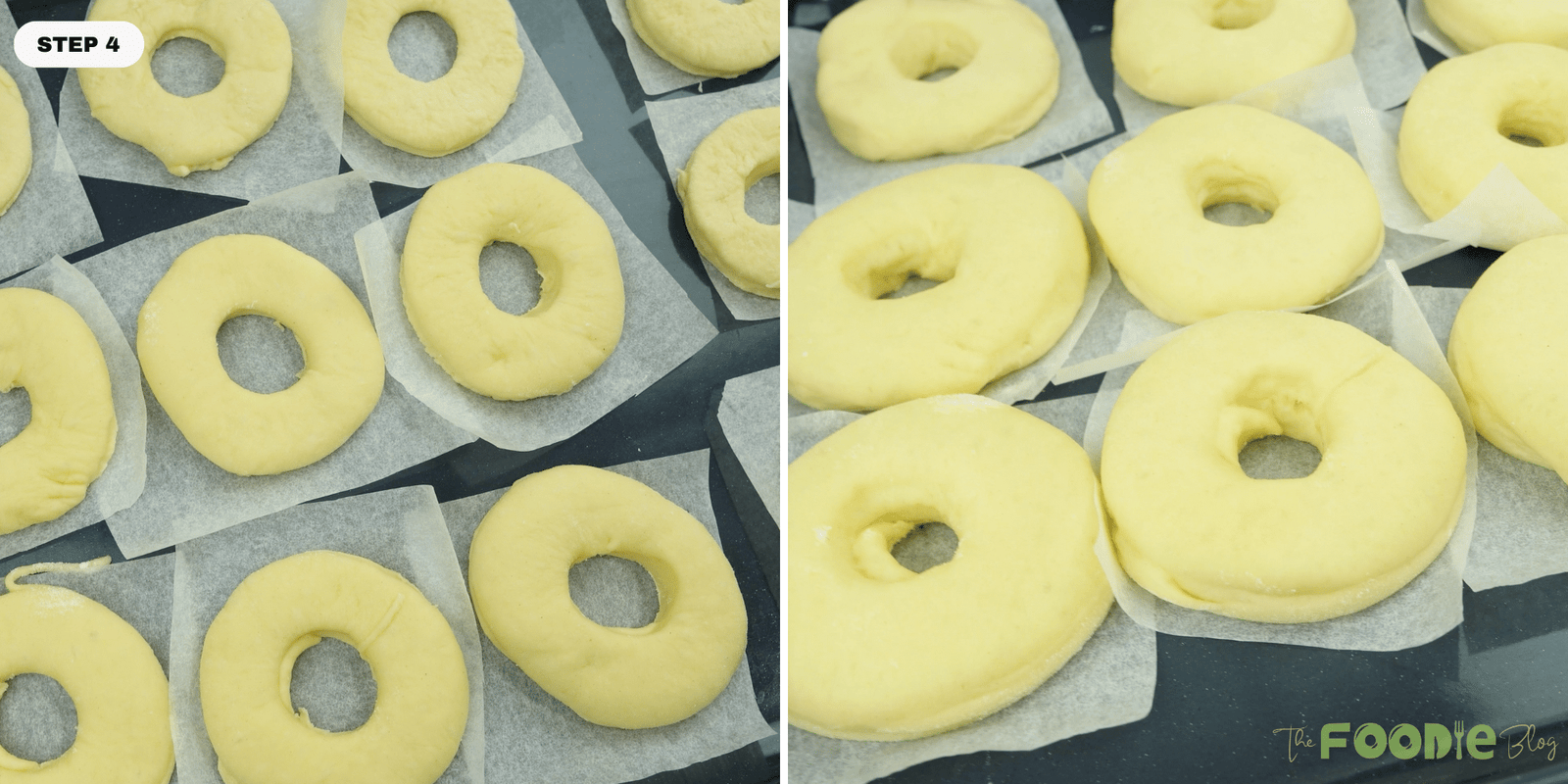 Cut donut rings proofing on parchment squares on a tray