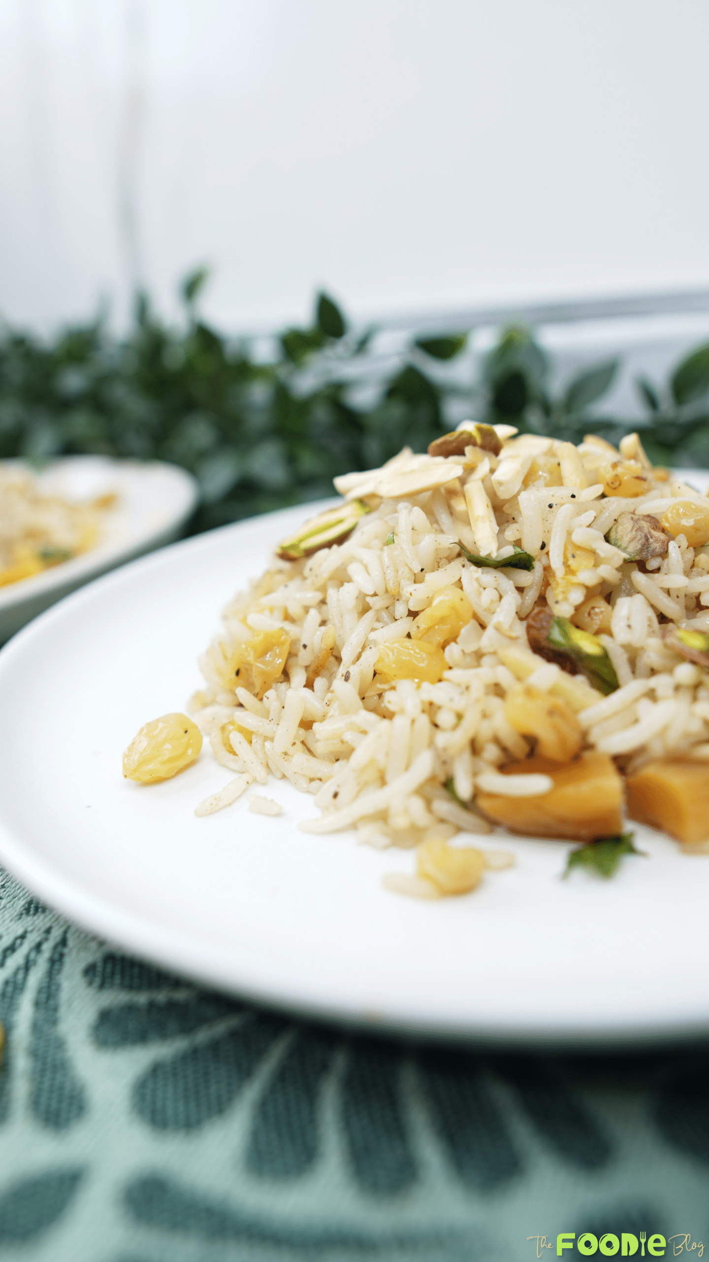 Close-up side view of rice pilaf with raisins, dried apricots, pistachios, and sliced almonds on a white plate