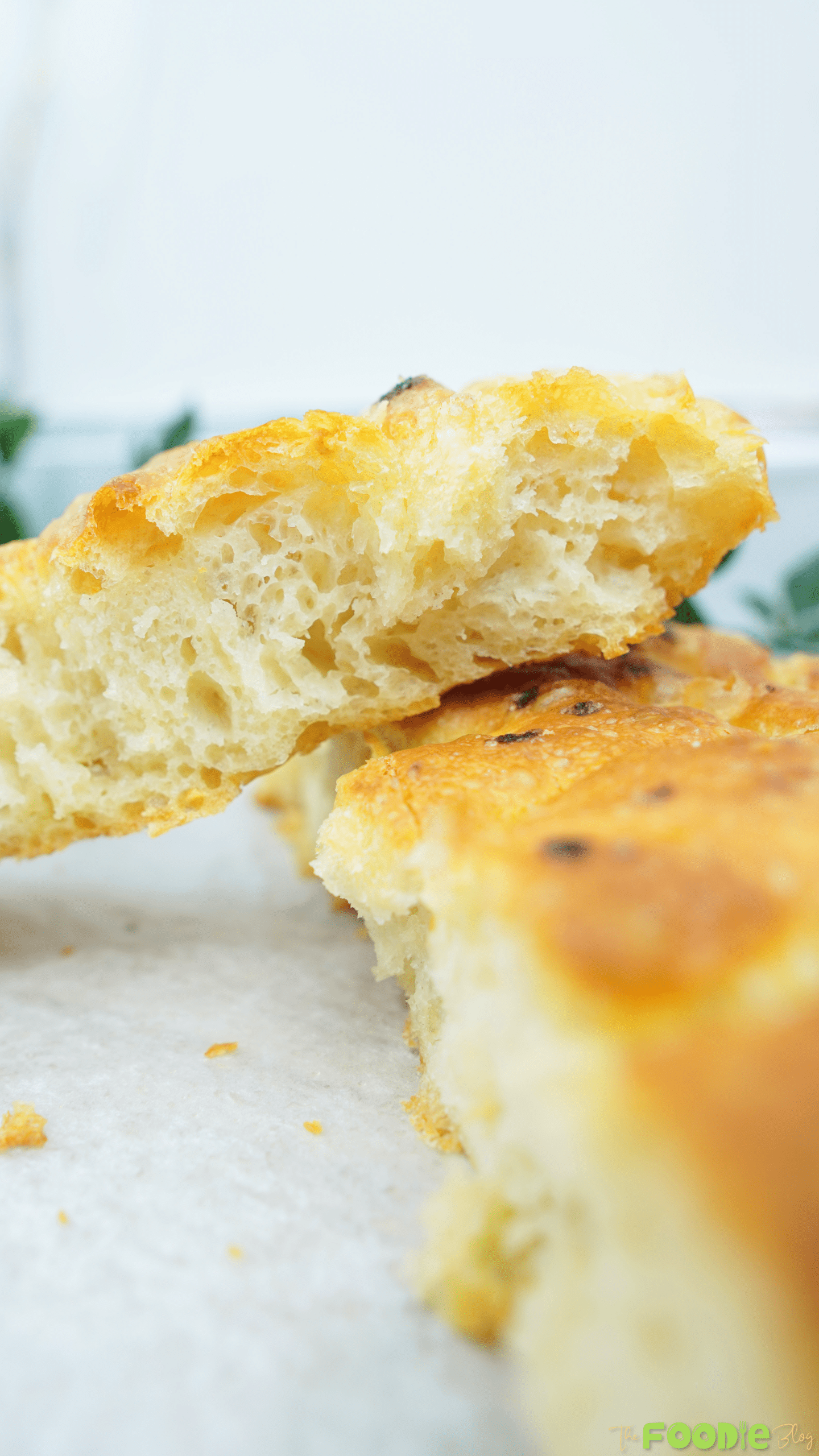 Close-up of the airy crumb and crisp crust of focaccia-style bread