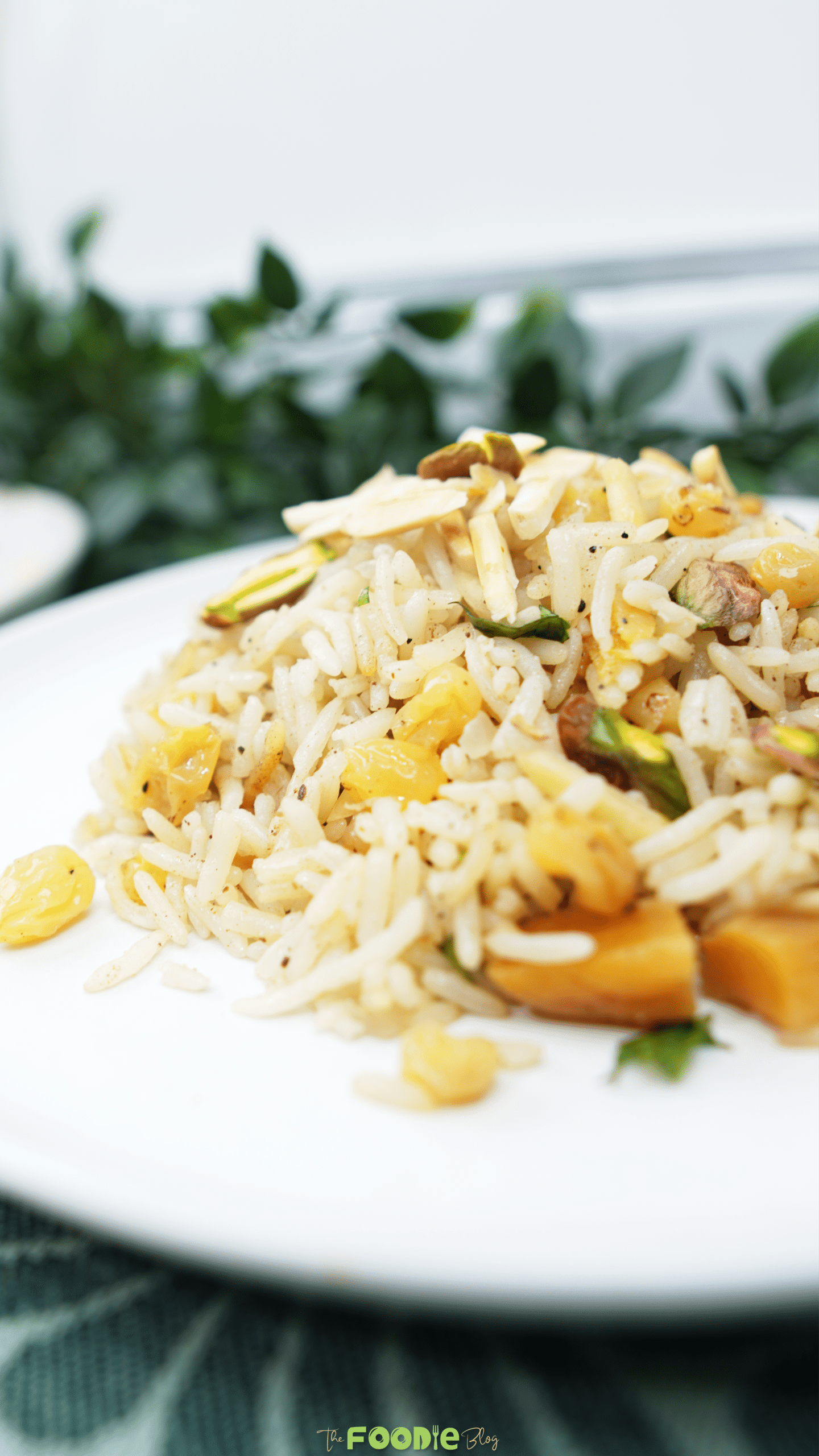 Close-up side view of rice pilaf with raisins, dried apricots, pistachios, and sliced almonds on a white plate