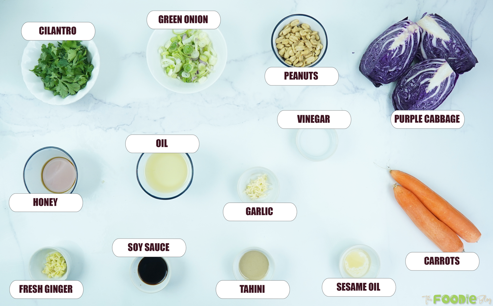 Ingredients for crunchy cabbage salad arranged on a white surface, including purple cabbage, carrots, green onions, cilantro, peanuts, honey, soy sauce, tahini, ginger, garlic, oil, vinegar, and sesame oil.