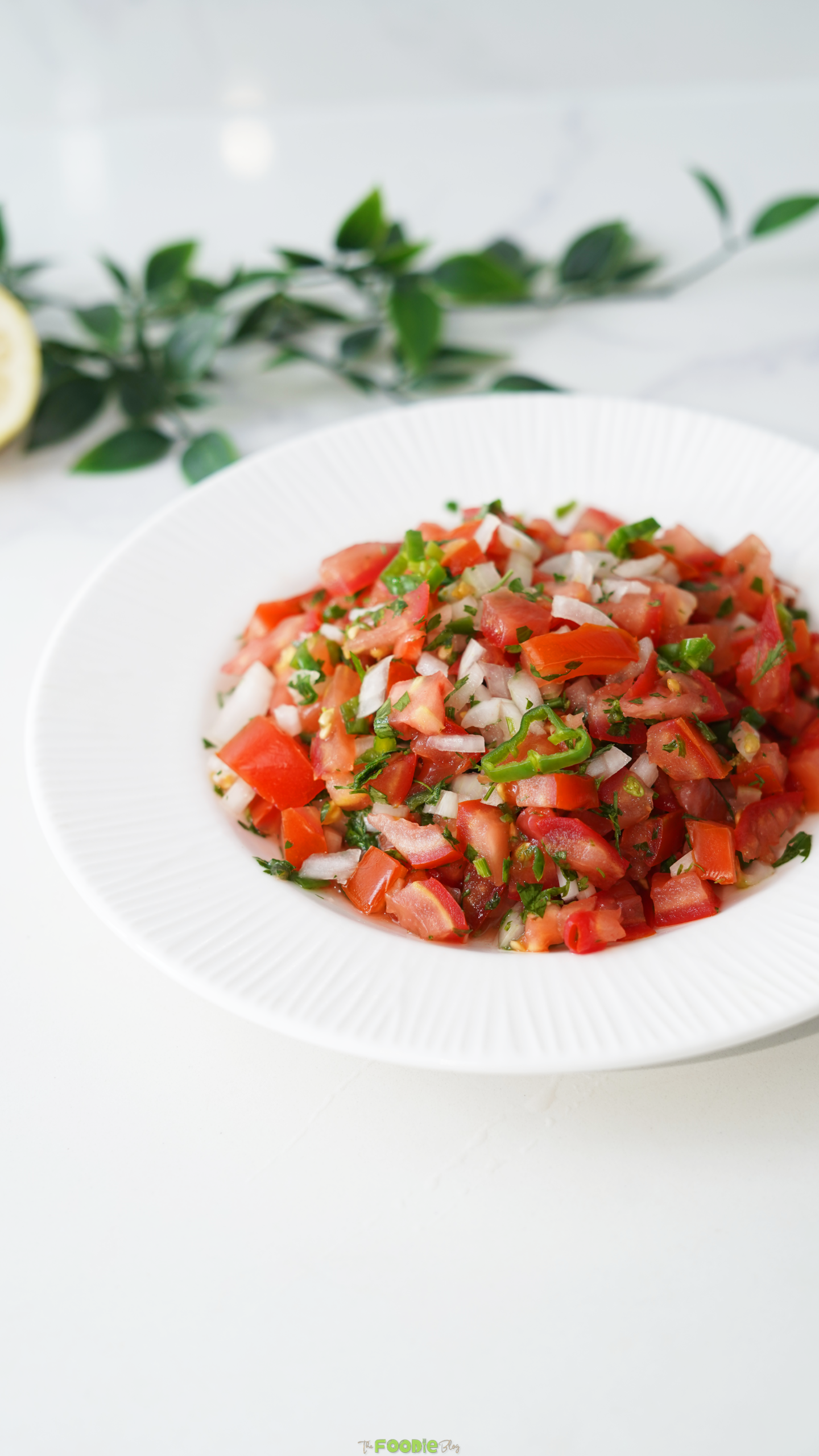Fresh tomato salsa with cilantro, onion, and jalapeño served in a white bowl.