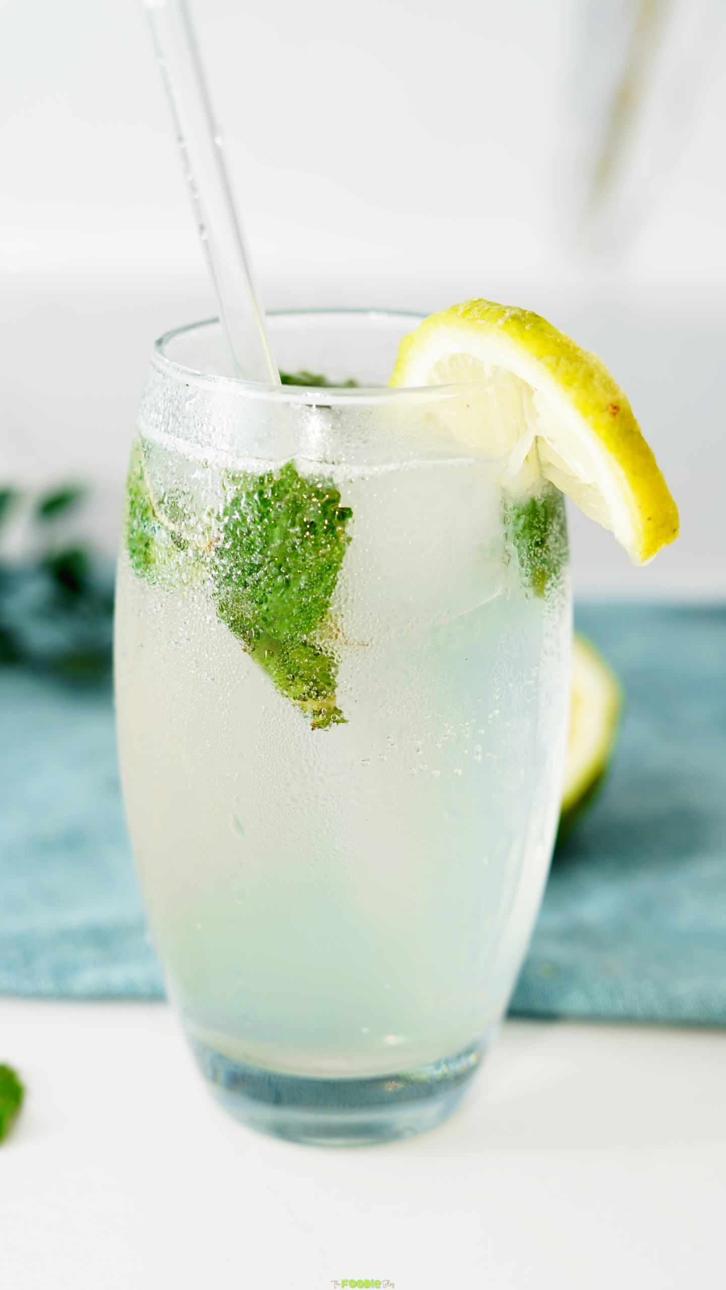 Close-up of a mojito in a glass with mint leaves, ice, bubbles, and a lemon slice garnish.