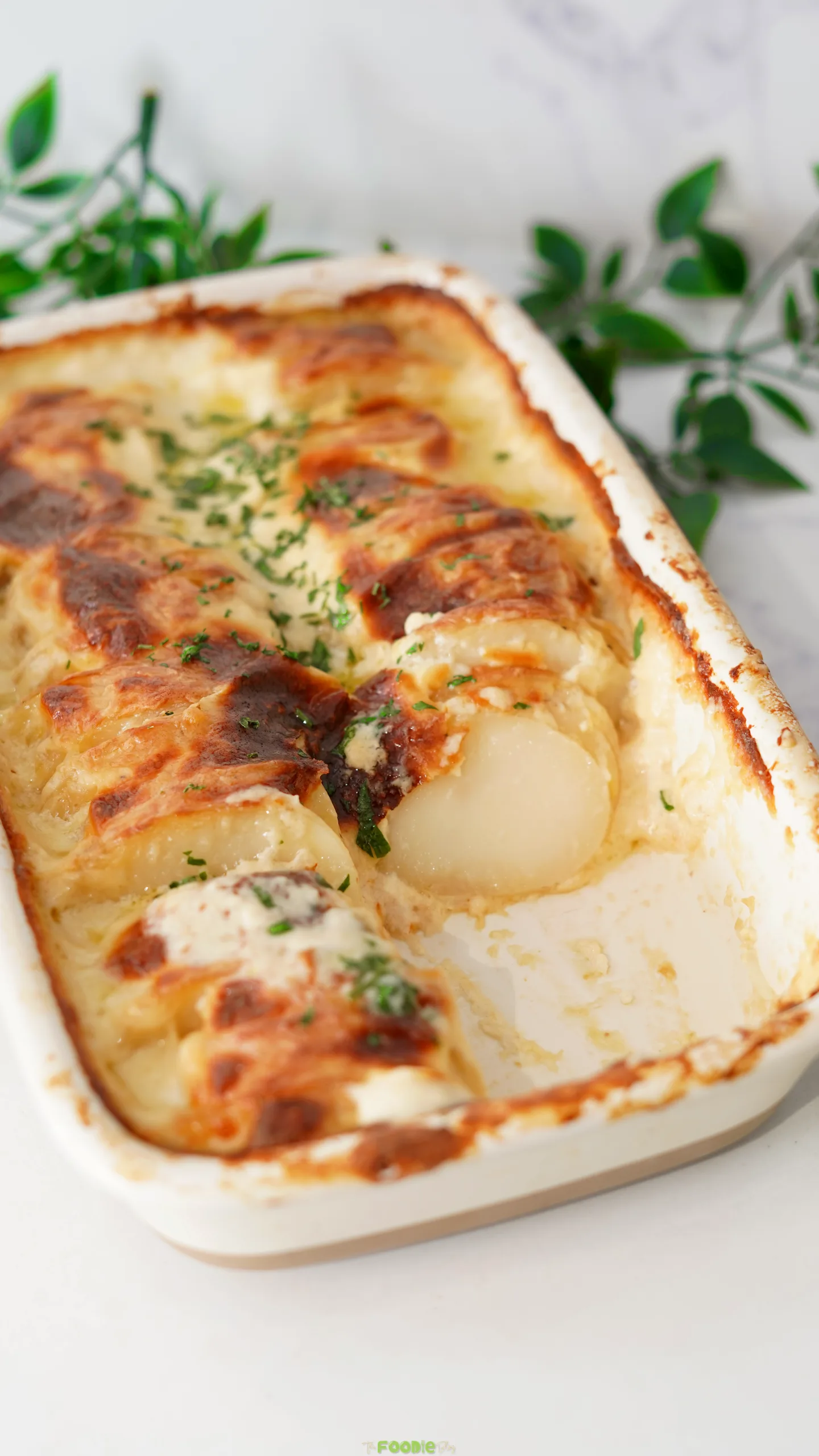 Baked Cheesy Scalloped Potatoes in a casserole dish with a golden bubbly cheese topping.