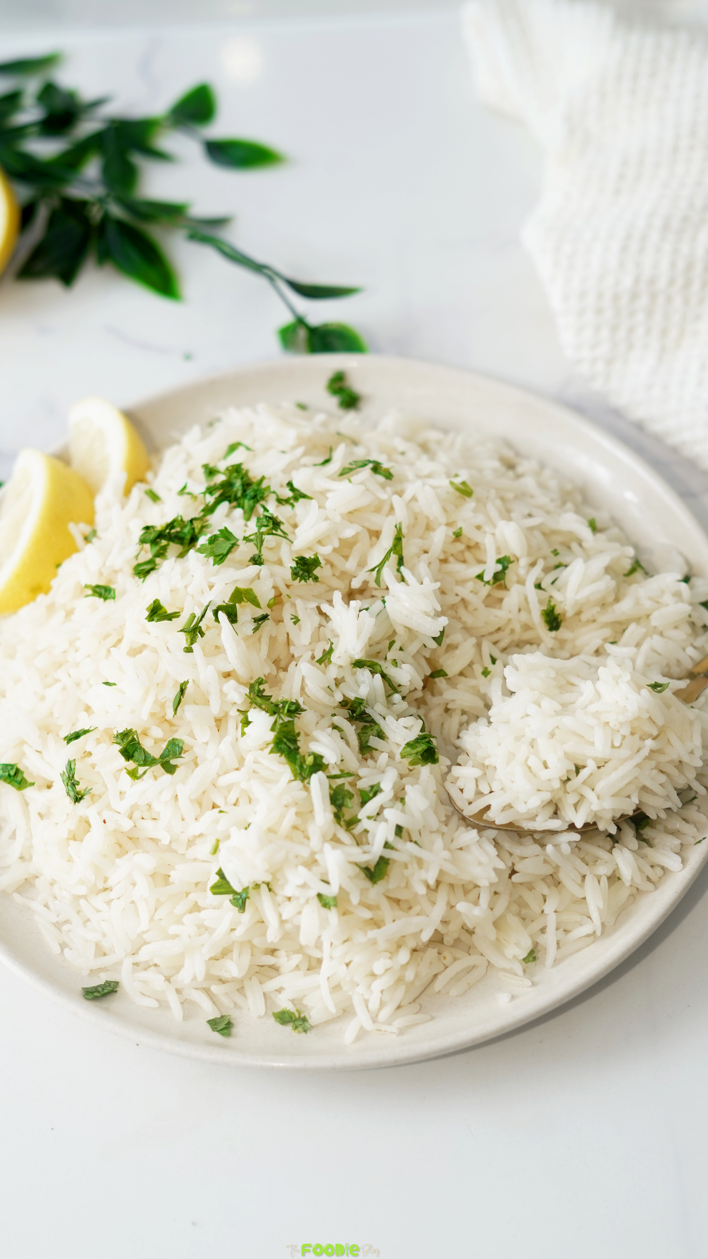 A spoonful of fluffy coconut rice lifted from a bowl of parsley-topped rice.
