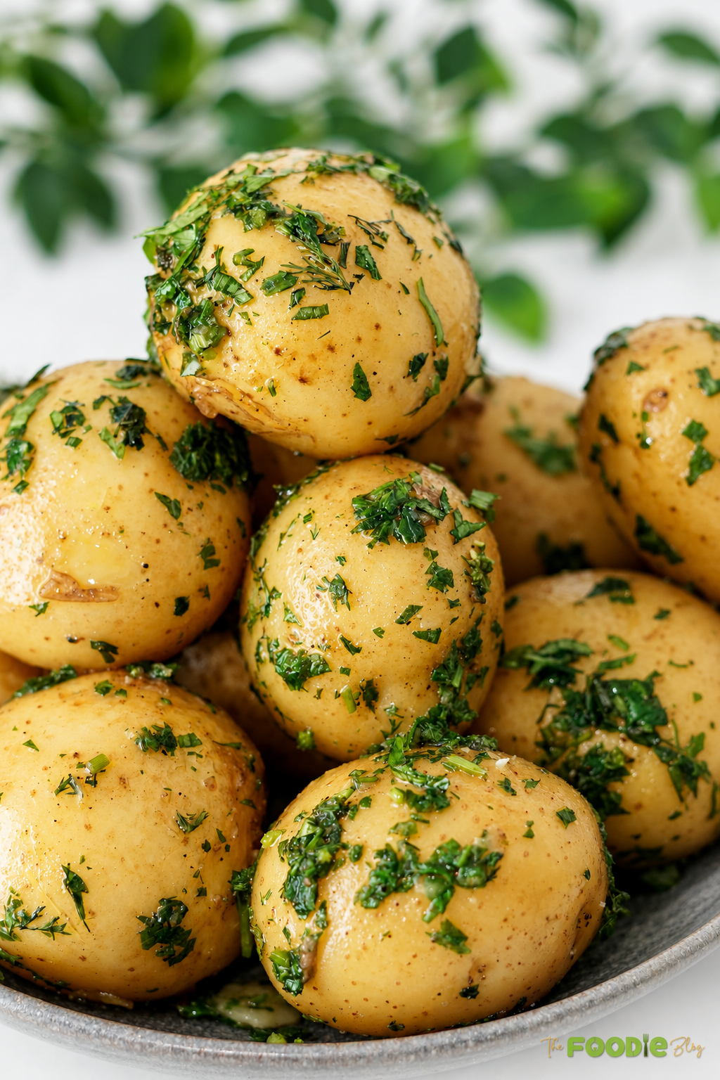 Close-up of buttery baby potatoes tossed with fresh dill, parsley, chives, salt, and black pepper.